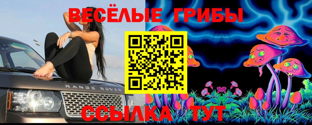 Галлюциногенные грибы мицелий  Галлюциногенные грибы Psilocybe  Зеленодольск  Вход с VPN 